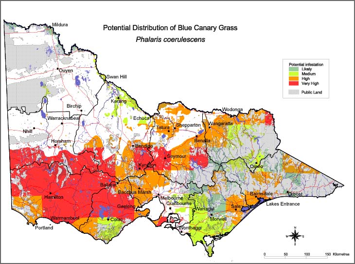 Map:  Potential distribution - Blue Canary Grass