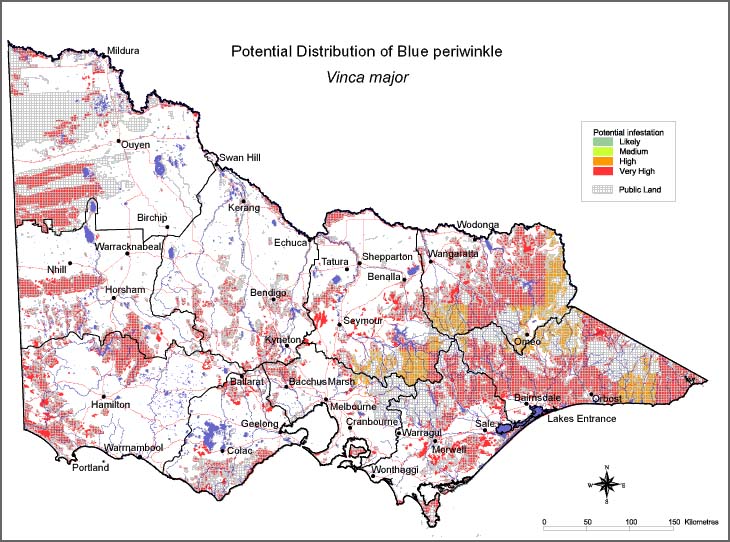Map:  Potential distribution - Blue Periwinkle