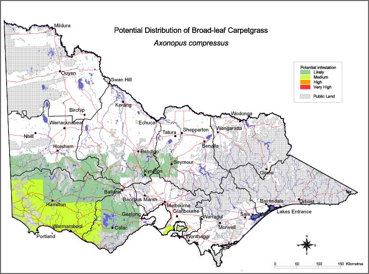 Map:  Potential distribution - Broadleaf Carpetgrass