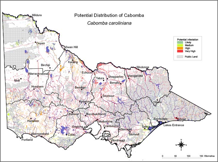 Map:  Potential distribution - Cabomba