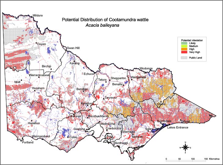 Map:  Potential distribution - Cootamundra Wattle