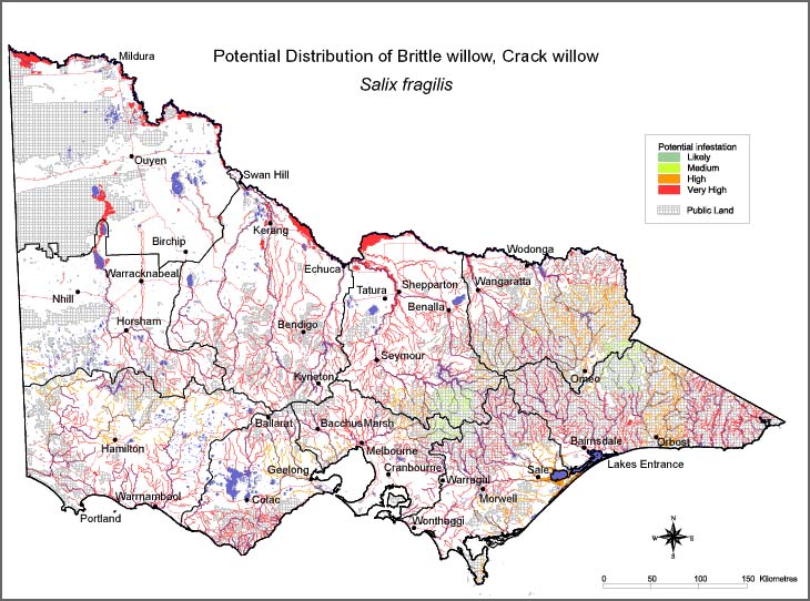 Map:  Potential distribution - Crack Willow