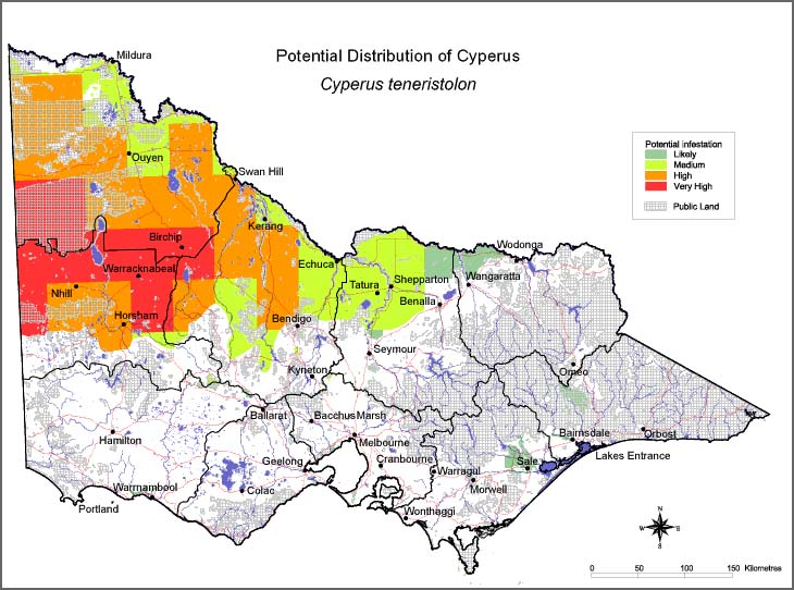 Map:  Potential distribution - Cyperus