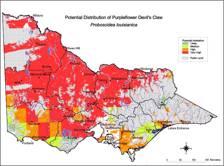 Map:  Potential distribution - Devil's Claw (purpleflower)
