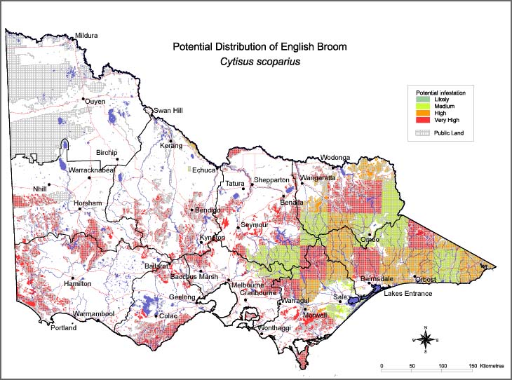 Map:  Potential distribution - English Broom