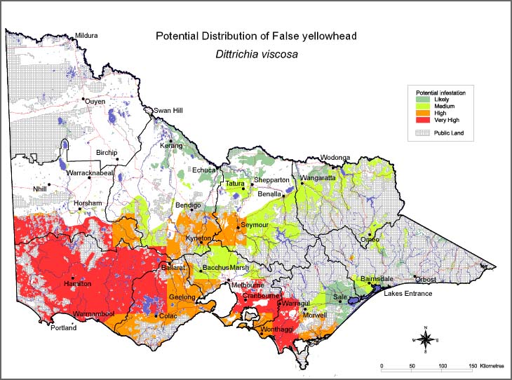 Map:  Potential distribution - False Yellowhead