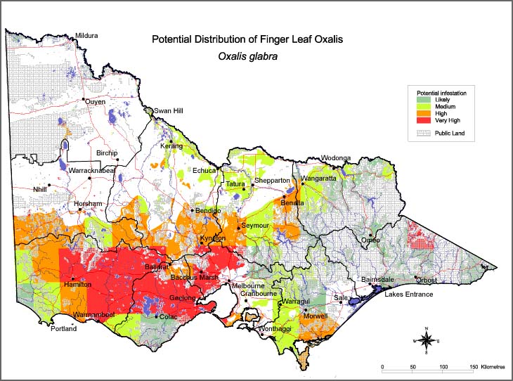 Map:  Potential distribution - Fingerleaf Oxalis