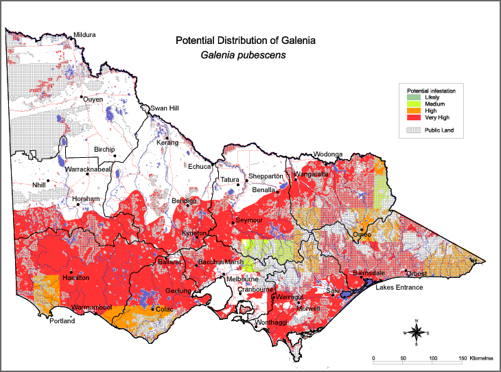 Map:  Potential distribution - Galenia