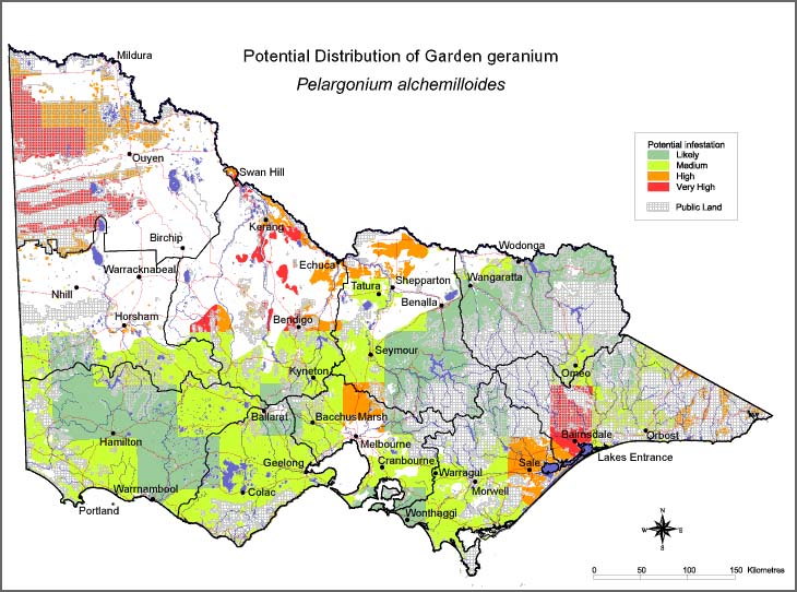 Map:  Potential distribution - Garden Geranium