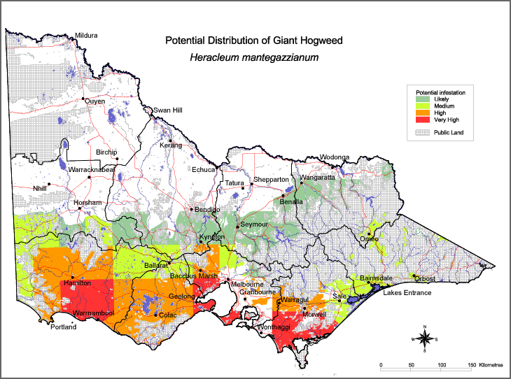 Map:  Potential distribution - Giant Hogweed