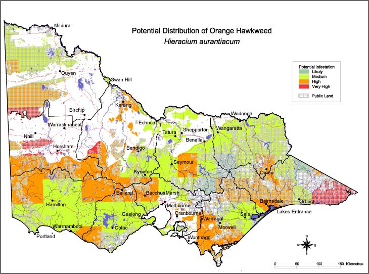 Map:  Potential distribution - Orange Hawkweed