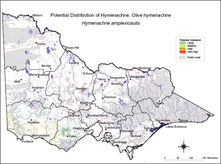Map:  Potential distribution - Hymenachne