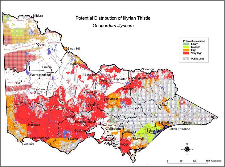 Map:  Potential distribution - Illyrian Thistle