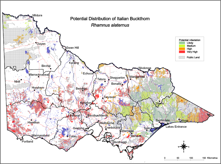 Map:  Potential distribution - Italian Buckthorn