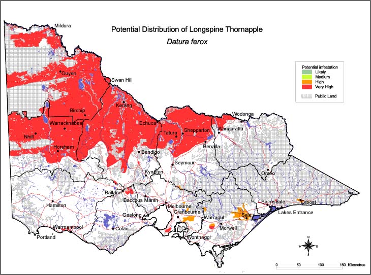 Map:  Potential distribution - Longspine Thornapple