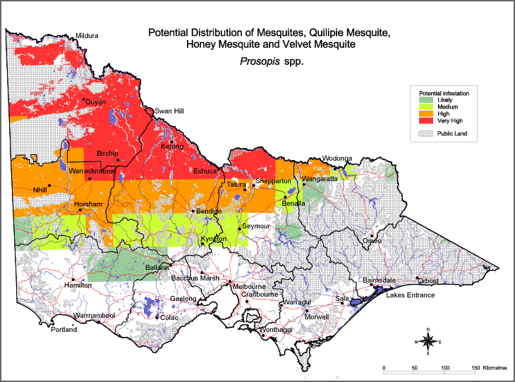 Map:  Potential distribution - Mesquite