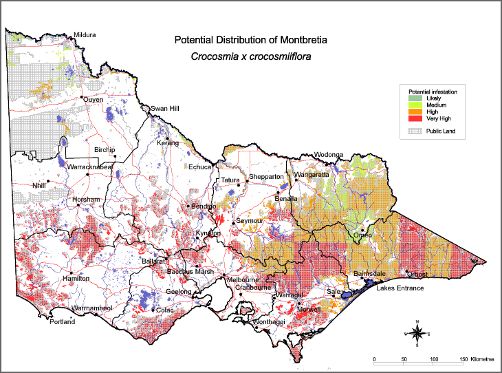 Map:  Potential distribution - Montbretia