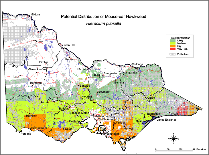 Map:  Potential distribution - Mouse Ear Hawkweed
