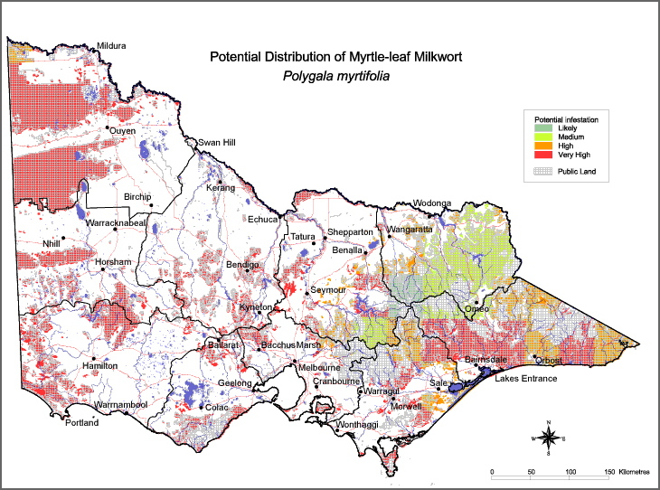 Map:  Potential distribution - Myrtle Leaf Milkwort