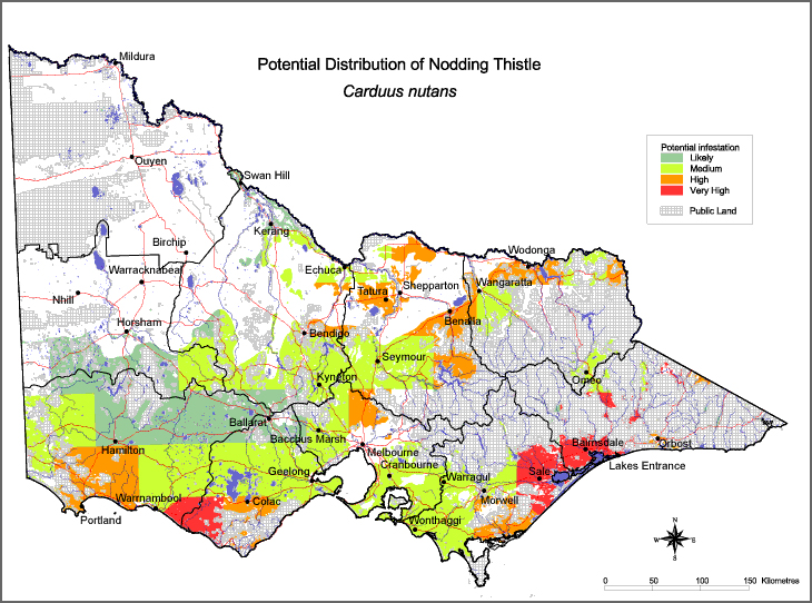 Map:  Potential distribution - Nodding Thistle