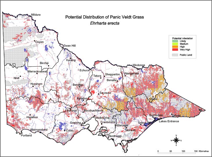 Map:  Potential distribution - Panic Veldt