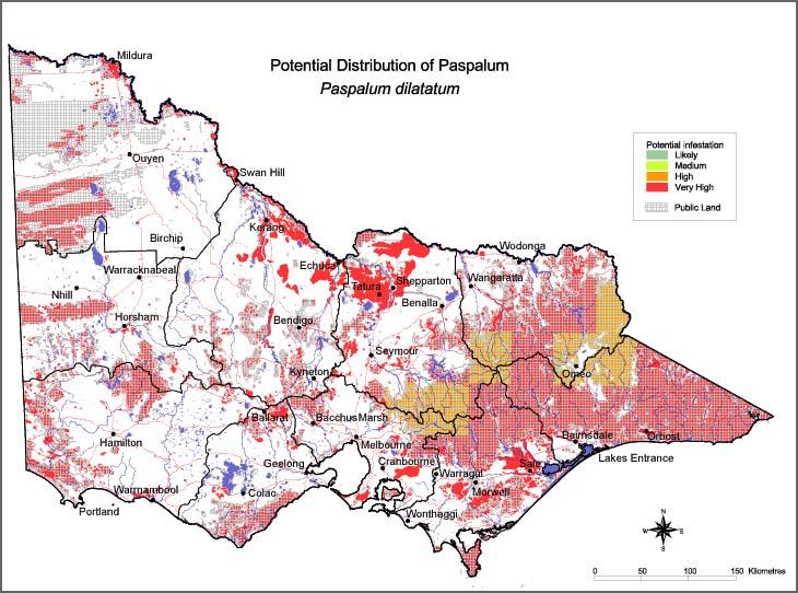 Map:  Potential distribution - Paspalum