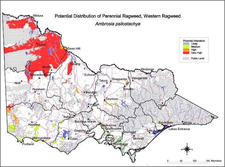 Map:  Potential distribution - Perennial Ragweed