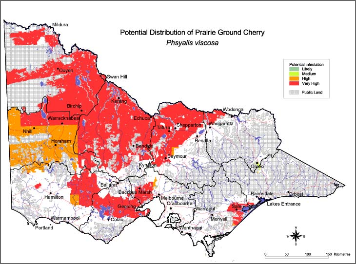 Map:  Potential distribution - Prairie Ground Cherry