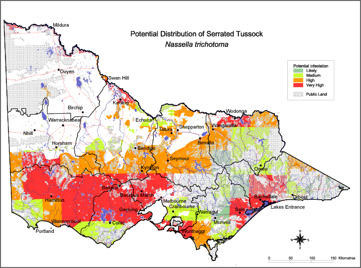 Map:  Potential distribution - Serrated Tussock