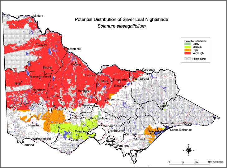 Map:  Potential distribution - Silver Leaf Nightshade
