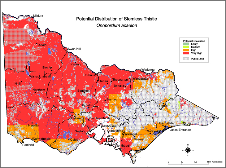 Map:  Potential distribution - Stemless Thistle