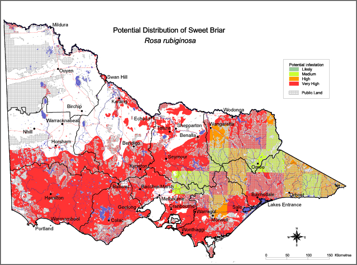 Map:  Potential distribution - Sweet Briar