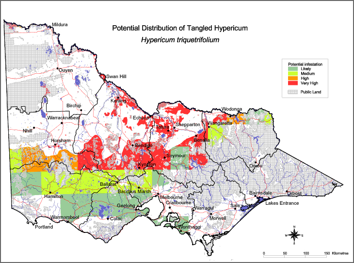 Map:  Potential distribution - Tangled Hpericum