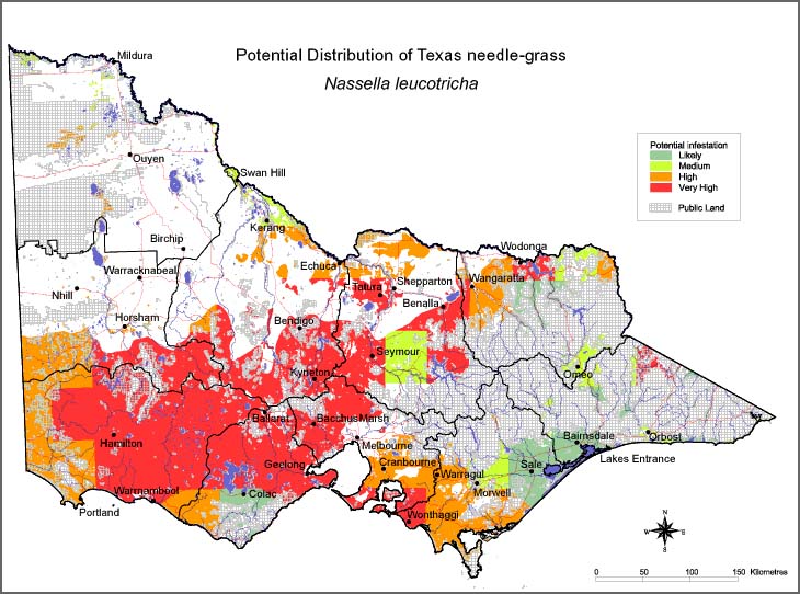 Map:  Potential distribution - Texas Needlegrass