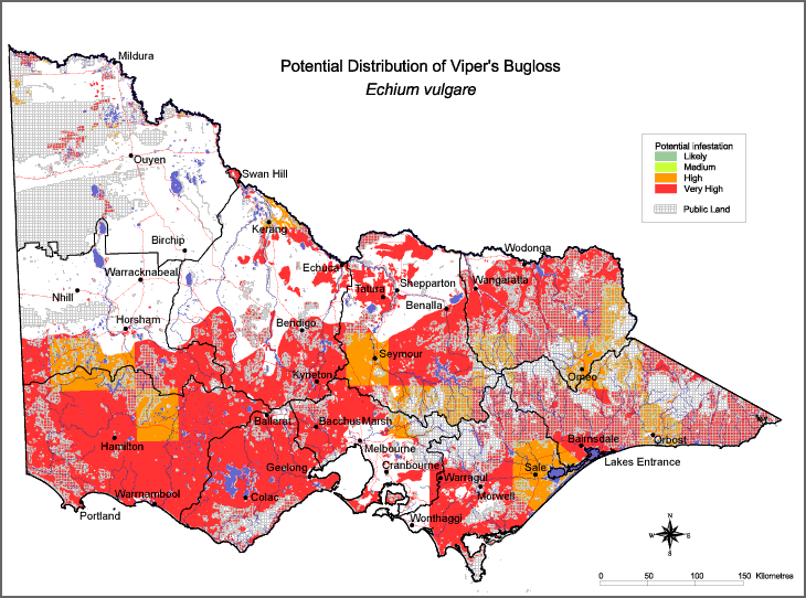 Map:  Potential distribution - Vipers Bugloss