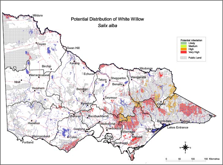 Map:  Potential distribution - White Willow