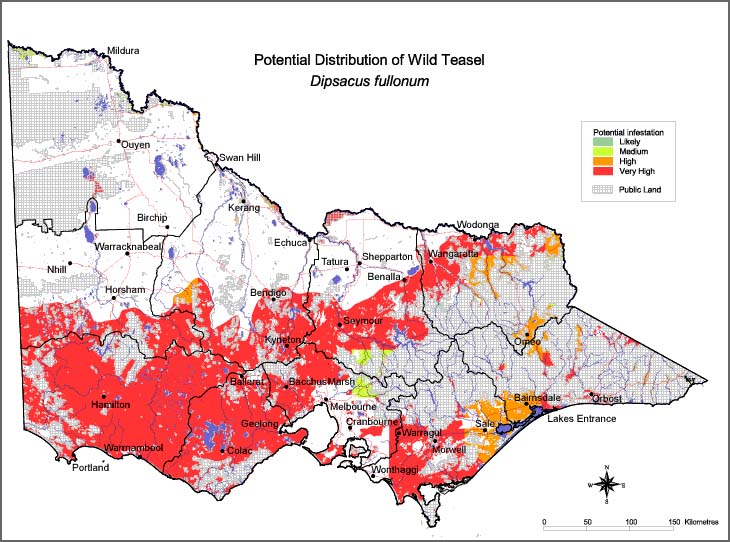 Map:  Potential distribution - Wild Teasel