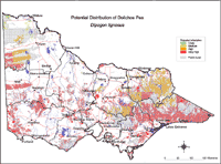 Map: Potential distribution of Dolichos Pea