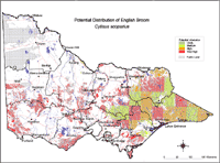 Map: Potential distribution of English Broom