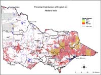Map:  Potential distribution English Ivy