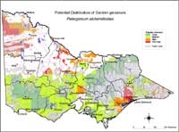 Map:  Potential distribution Garden Geranium