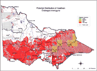 Map: Potential distribution of Hawthorn