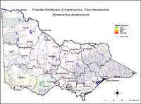 Map:  Potential distribution Hymenachne