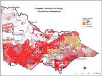 Map: Potential distribution of Kikuyu