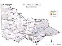 Potential distribution of Kylinga in Victoria