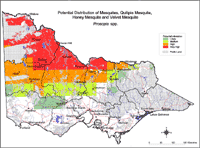 Map: Potential distribution of Mesquite