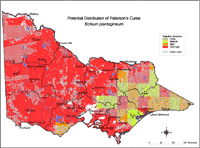 Map:  Potential distribution Paterson's Curse
