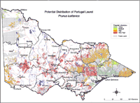 Map:  Potential distribution Portugal Laurel