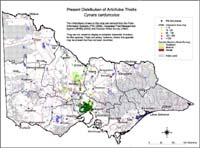 Map:  Present distribution Artichoke Thistle