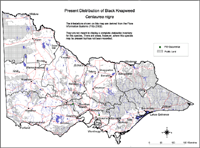 Map:  Present distribution Black knapweed